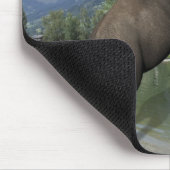 Tapis De Souris Belly Flop Elephant (Coin)
