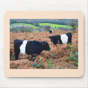 Tapis De Souris Belted Galloway cattle