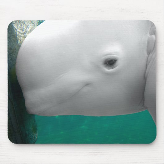 Tapis De Souris Beluga observant Mousepad (Devant)