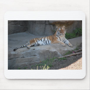 Tapis De Souris Bengal Tiger