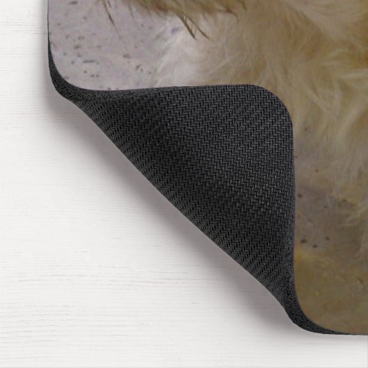 Tapis De Souris Benji (Coin)