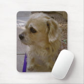 Tapis De Souris Benji (Avec souris)