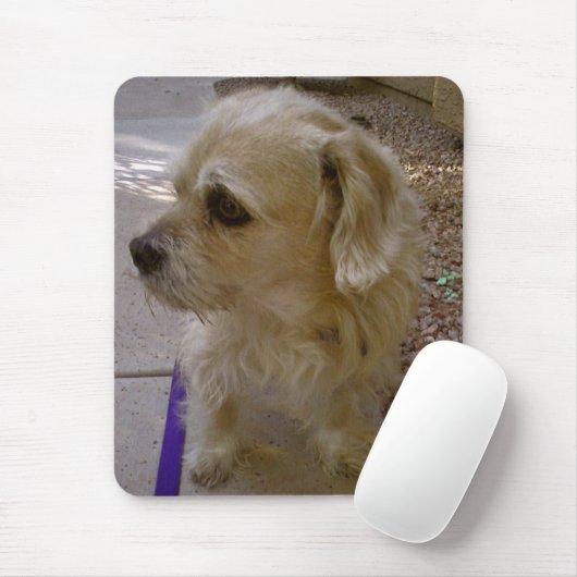 Tapis De Souris Benji (Avec souris)