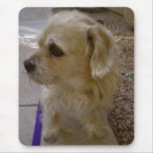 Tapis De Souris Benji (Devant)