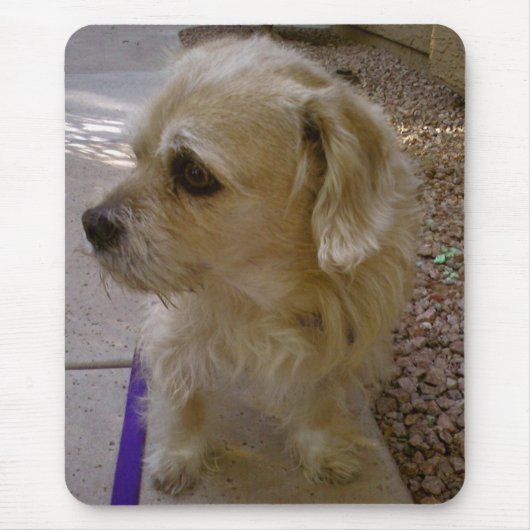 Tapis De Souris Benji (Devant)