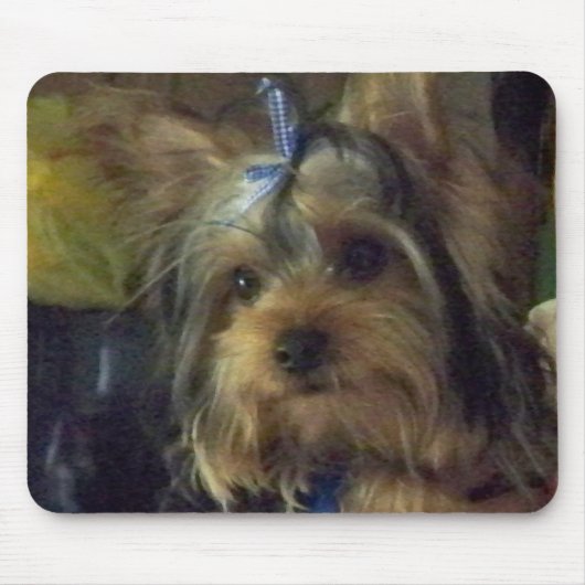 TAPIS DE SOURIS BENSON (Devant)