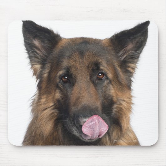 Tapis De Souris Berger allemand (Devant)