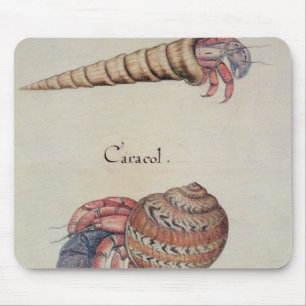 Tapis De Souris Bernard l'ermite