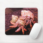 Tapis De Souris Bernard l'ermite Mousepad (Avec souris)