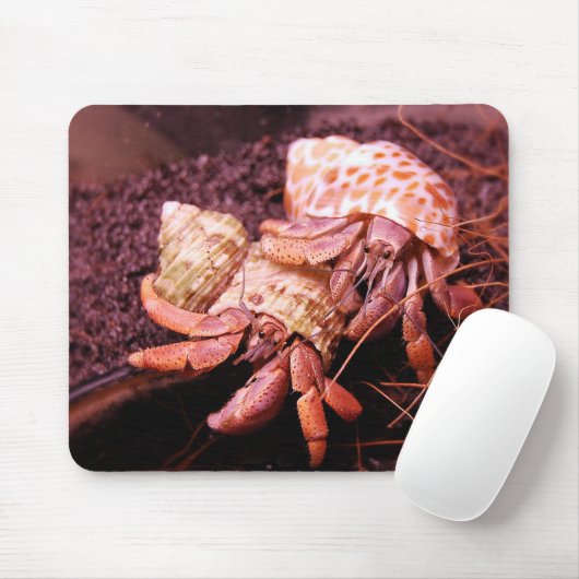 Tapis De Souris Bernard l'ermite Mousepad (Avec souris)