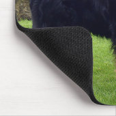 Tapis de souris bernois de montagne (Coin)