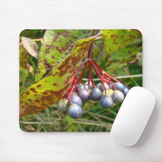 Tapis De Souris Berries d'automne (Avec souris)