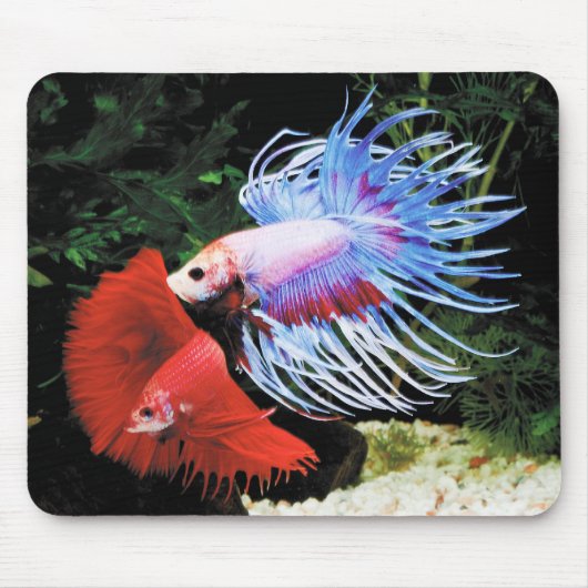 Tapis De Souris Bettaのマウスパッド,No.09 (Devant)