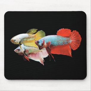 Tapis De Souris Betta