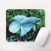 Tapis De Souris betta,cobalt blue (Avec souris)