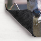 Tapis De Souris Biche à queue noire de Colombie | État de Washingt (Coin)