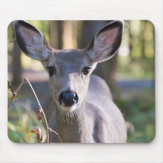 Tapis De Souris Biche à queue noire de Colombie | État de Washingt (Devant)