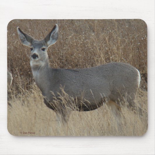 Tapis De Souris Biche de Mule D14 (Devant)