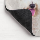 Tapis De Souris Bichon Maman Mousepad (Coin)