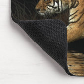 Tapis De Souris BIG CAT Bengale, Sibérie Indian Tiger, MousePads (Coin)