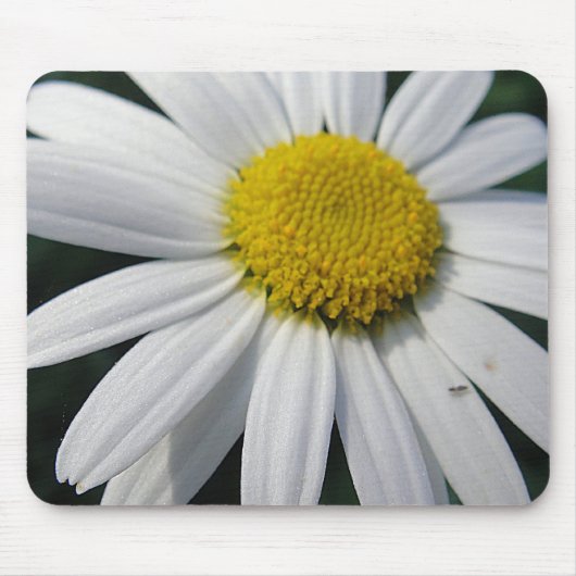 Tapis De Souris Big Daisy (Devant)