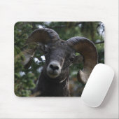 Tapis De Souris Big Horn Sheep1 (Avec souris)
