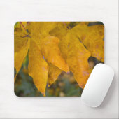 Tapis De Souris Big Leaf Maple Mousepad (Avec souris)