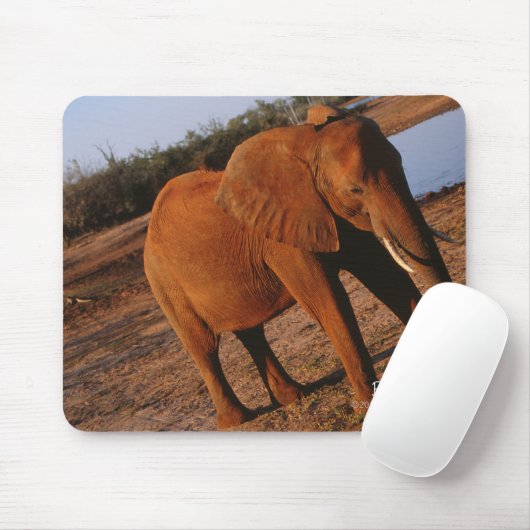 Tapis De Souris Big Red (Avec souris)