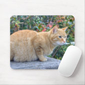 Tapis De Souris Big Red Tabby (Avec souris)