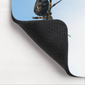 Tapis De Souris Big Spider Hanging à partir du Web (Coin)