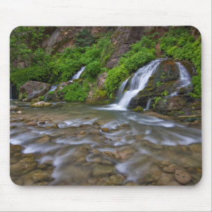 Tapis De Souris Big Springs Virgin River Parc national de Zion