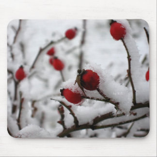 Tapis De Souris big_winter
