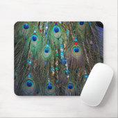 Tapis De Souris Bijoux Peacock (Avec souris)