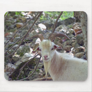 Tapis De Souris Billy Goat