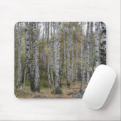 Tapis De Souris Birch Forrest Photo sur Mousepad (Avec souris)