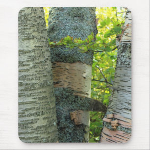 Tapis De Souris BirchTree