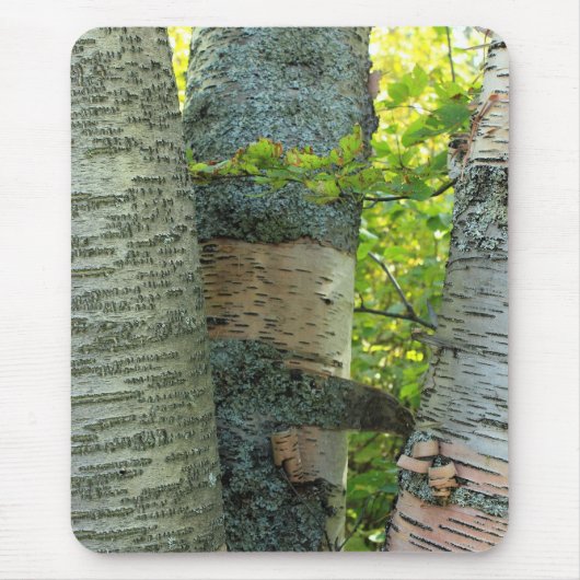 Tapis De Souris BirchTree (Devant)