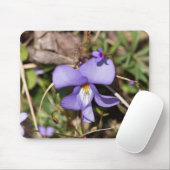 Tapis De Souris Birds-Foot Violet w/ Bluets (Avec souris)