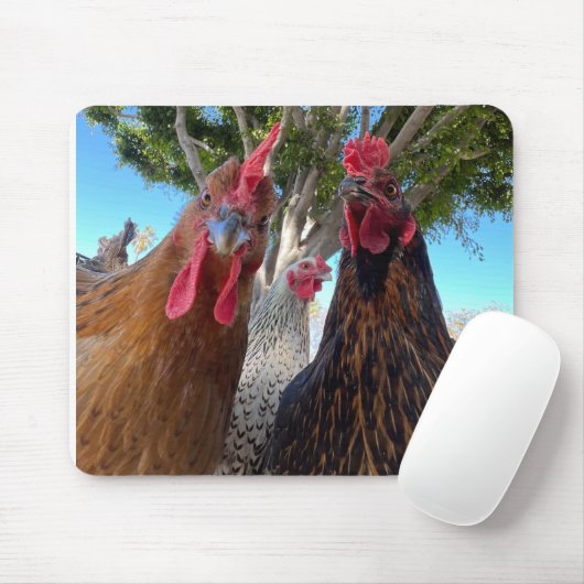 Tapis De Souris Birds with Attitude Mouse Pad (Avec souris)