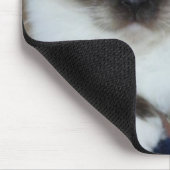 Tapis De Souris birman 2.png (Coin)