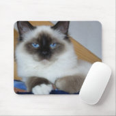 Tapis De Souris birman 2.png (Avec souris)