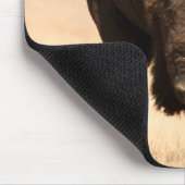 Tapis De Souris Bison (Coin)