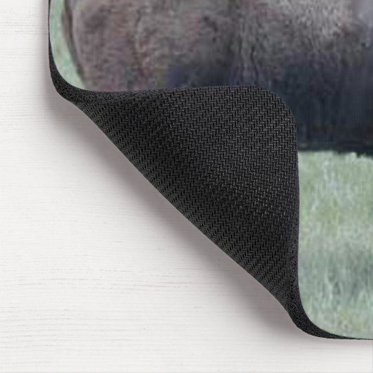 Tapis De Souris Bison (Coin)