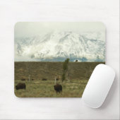 Tapis De Souris Bison à Grand Teton National Park Photographie (Avec souris)