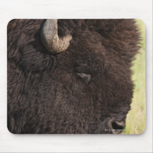 Tapis De Souris Bison américain, le Dakota du Sud