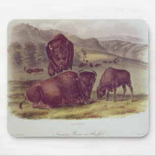 Tapis De Souris Bison américain ou Buffalo