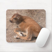 Tapis De Souris Bison Calf (Avec souris)