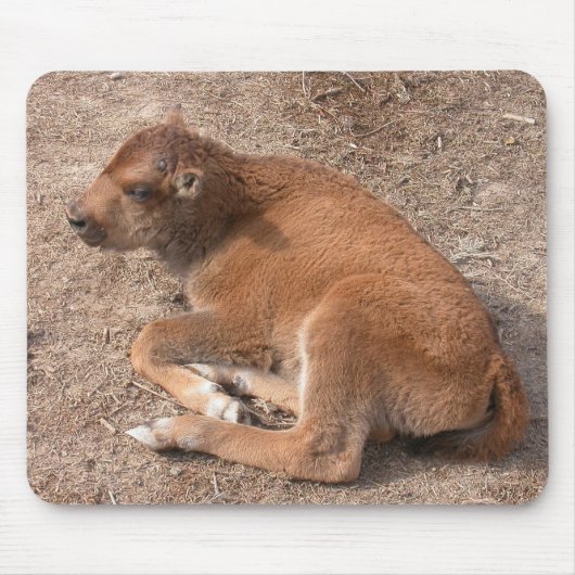 Tapis De Souris Bison Calf (Devant)