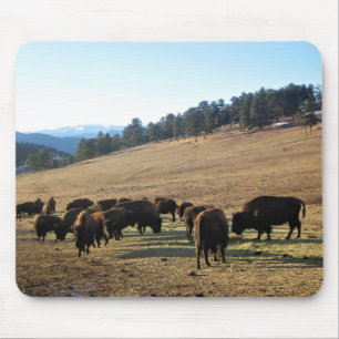 Tapis De Souris Bison dans le Colorado