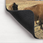 Tapis De Souris Bison dans le Colorado (Coin)